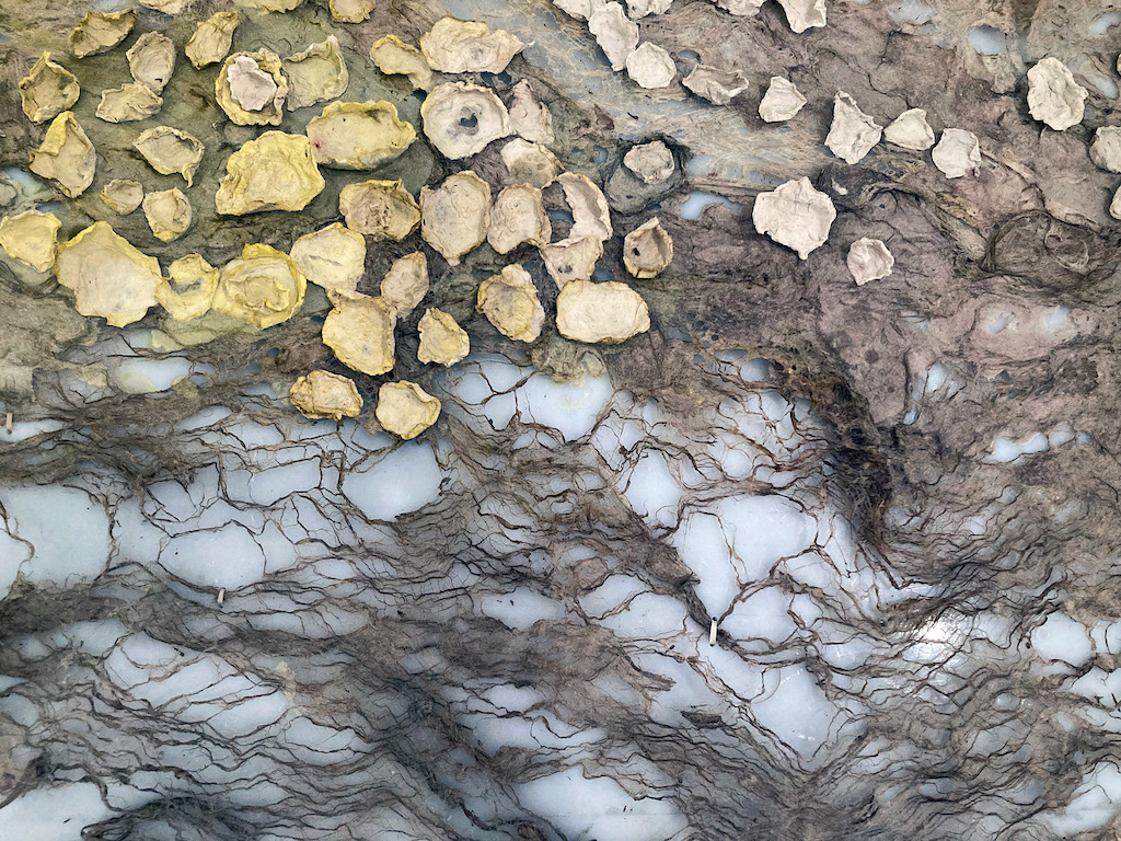 The image depicts an intricate and textured surface resembling a combination of organic and geological forms. At the top, clusters of irregular, yellow-toned and pale white shapes are scattered across the composition, resembling lichen, fungi, or weathered rock formations. Below, a network of dark, root-like or vein-like structures extends across a cloudy white and gray background.