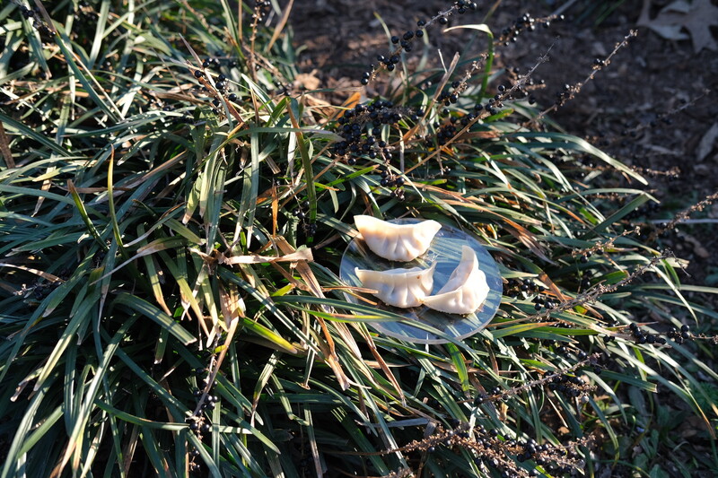 Three dumplings placed on a circular clear disk within a field of grass and berries.
