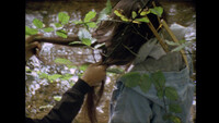 A close-up image of a person sitting while having their hair braided to a chain railing by another person who is only partially pictured in the frame. The background depicts water with sunglints.