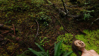 A green hilly landscape, with fallen logs, branches, small plants and ferns fill the entire image. In the very bottom right corner Lee Su-Feh is found lying in a bed of bright green moss. The mask covers her face as she looks directly up at the trees and sky.