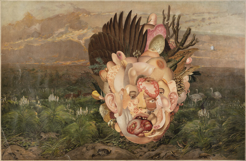 Cut-outs of plants, human and animal bodies collect abstracted in the central foreground. Made up of muted skin tones (pink, yellow, brown, red, white, orange, beige, green), mouths, eyes, tongues, ears, feathers, fungi’s, branches, eggs, hair, bacterial and viral infections. The background is made of one image of a loosely painted landscape, neutral in earthy colour tones (browns, greys, yellows, greens, white). There are deer, birds, small mammals, and white flowers present.