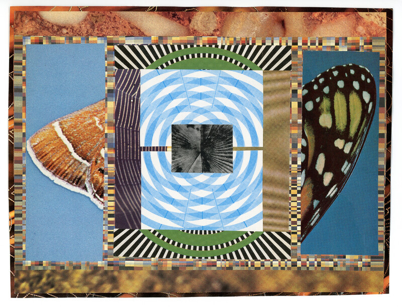 A composition of biocentric and geometric elements, collaged to form an imperfect symmetrical image made up of fragments of butterfly wings, microscopic images, swirls, and spiderwebs.   