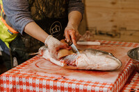 Bloody hands fillet a large fish in the foreground of the image. The fish and cutting board are placed on a red and white checkered tablecloth with floral detailing.