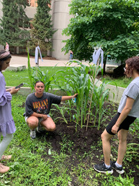 A presenter kneels, touching a stalk of corn while speaking to a crowd in a small garden.