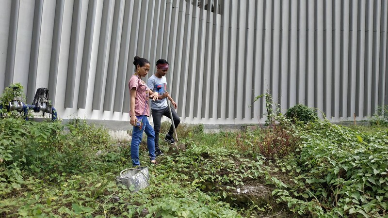 Two people stand in the middle of the image, surrounding by short plants and vines, with a grey wall behind them. One holds a gardening shovel, the other gestures to the garden.