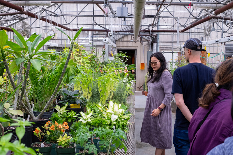 An image of the interior of greenhouse with many varities of plants on the left of the image and to the right is Tracy Qiu, workshop leader facing the plants with other participants pictures with their backs towards the camera.